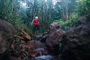 BIB: 
                            <button type="button" onclick="openModal(26421043)" class="btn btn-primary btn-sm float-right btn-popup" data-toggle="modal" data-target=".modal-high-quality">
                        <i class="fas fa-shopping-cart"></i> Add to Cart
                    </button>
                                            <button type="button" onclick="isThisMe(26421043, true)" class="btn btn-success btn-sm float-right btn-popup btn-isme hidden" data-toggle="tooltip" data-placement="bottom" title="นี่คือรูปของคุณใช่ไหม คลิกที่นี่เพื่อเอาเข้าอัลบั้ม">
                        <i class="fas fa-plus"></i> Add to album
                    </button>
                    <button type="button" onclick="isThisMe(26421043, false)" class="btn btn-warning btn-sm float-right btn-popup btn-isnotme hidden">
                        <i class="fas fa-ban"></i> Remove from album
                    </button>